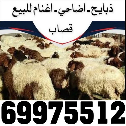 المنيوم الكويت – فني المنيوم - احمد 99186894 - المنيوم - شتر - تركيب مطابخ - فني شتر - تركيب شتر - تصليح شتر - تصليح مطبخ - معلم المنيوم - فني المنيوم الكويت 8 2 المنيوم الكويت – فني المنيوم - احمد 99186894 - المنيوم - شتر - تركيب مطابخ - فني شتر - تركيب شتر - تصليح شتر - تصليح مطبخ - معلم المنيوم - فني المنيوم الكويت