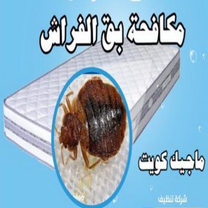 مكافحة حشرات - مكافحة حشرات وقوارض - الاتصال 50464050 - شركة حشرات - شركة مكافحة حشرات - مكافحة بق - مكافحة قوارض - مكافحة حشرات الكويت 14 مكافحة بق مكافحة حشرات - مكافحة حشرات وقوارض - الاتصال 50464050 - شركة حشرات - شركة مكافحة حشرات - مكافحة بق - مكافحة قوارض - مكافحة حشرات الكويت