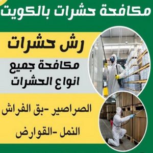 مكافحة حشرات - المحترفون 📞 50464050 - شركة مكافحة حشرات - مكافحة حشرات وقوارض - مكافحة بق - رش صراصير - مكافحة نمل - شركة حشرات - مكافحة فئران 2 مكافحة حشرات الكويت مكافحة حشرات - المحترفون 📞 50464050 - شركة مكافحة حشرات - مكافحة حشرات وقوارض - مكافحة بق - رش صراصير - مكافحة نمل - شركة حشرات - مكافحة فئران