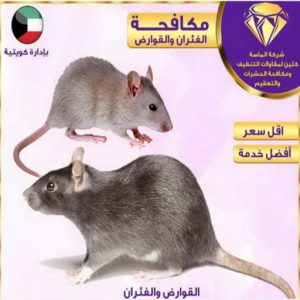 مكافحة حشرات