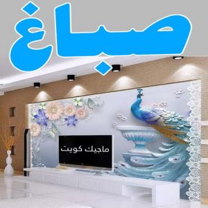 تركيب ورق جدران - صباغ ورق جدران - صياغ ابوعلي 97708083 - ورق الجدران - اصباغ وورق جدران - ورق حائط - ورقة جدران - ورق الحائط - بديل الرخام 17 صباغ