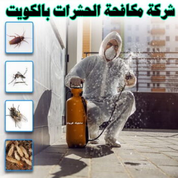 رش حشرات - مكافحة حشرات وقوارض - شركة الماسة للحشرات 94794735 - مكافحة حشرات - شركة مكافحة حشرات - مكافحة حشرة - شركة حشرات - مكافحة صراصير - رش صراصير